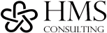 HMS Consulting Logo